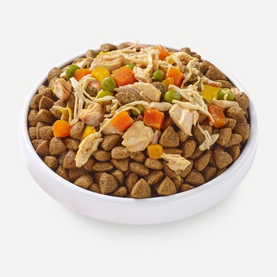 Applaws Topper in Broth Chicken Salmon Dog Tin
