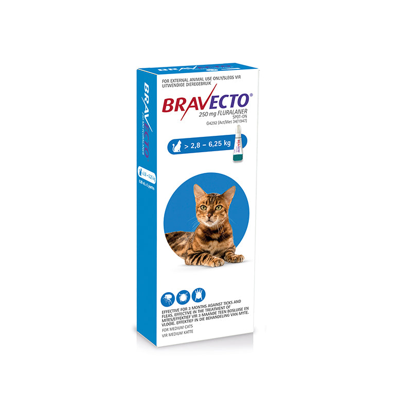 Bravecto for Cats 2.8kg to 6.25kg