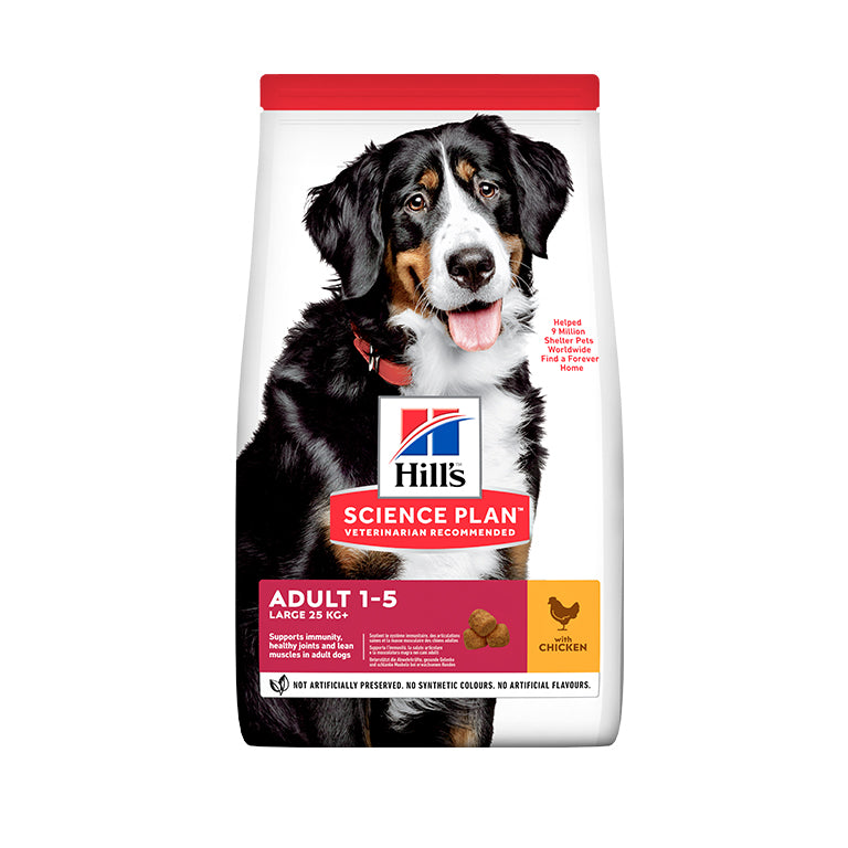Hill’s Science Plan Large Breed Adult Dog Food With Chicken