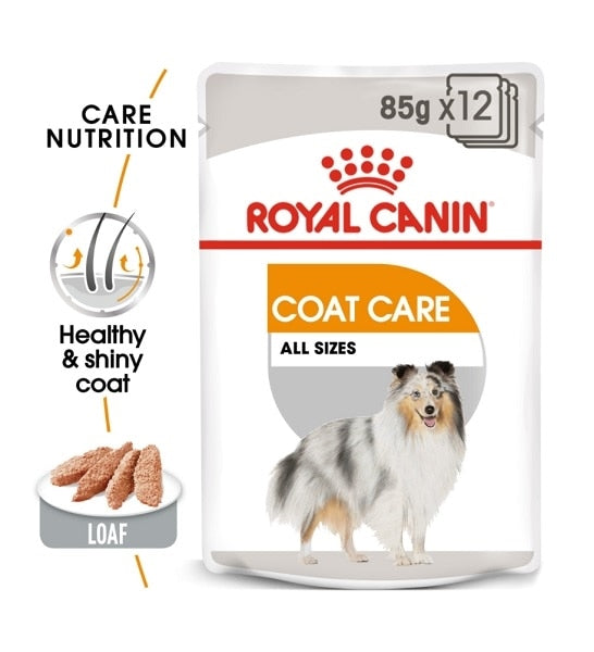 Royal Canin Coat Care Wet Food